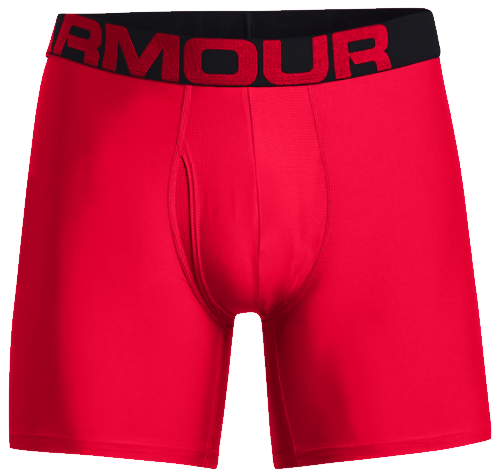 Bokserice Under Armour Tech 6in 2 Pack